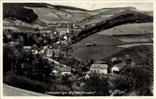 Ak Rościszów Steinseifersdorf Dzierżoniów Reichenbach Eulengebirge Schlesien, Totale