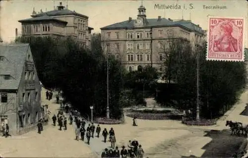 Ak Mittweida in Sachsen, Straßenpartie, Technikum