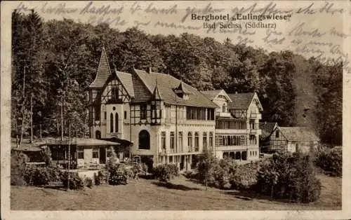 Ak Eulingswiese Bad Sachsa im Harz, Berghotel