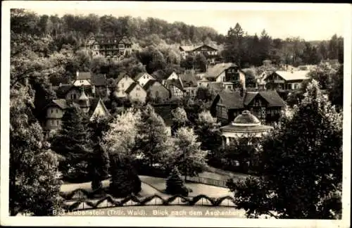 Ak Bad Liebenstein im Thüringer Wald, Aschenberg