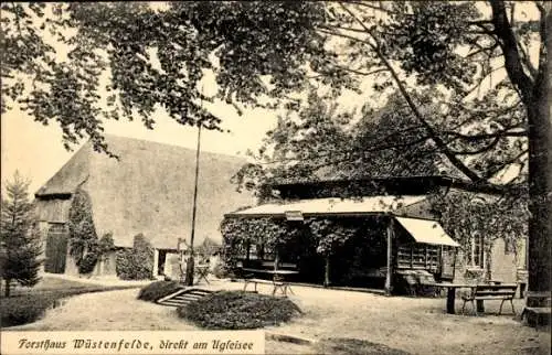 Ak Eutin in Ostholstein, Ugleisee, Forsthaus Wüstenfelde