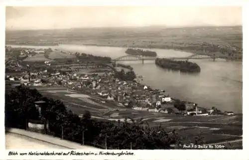 Ak Rüdesheim am Rhein, Blick vom Niederwald Nationaldenkmal, Panorama, Hindenburgbrücke