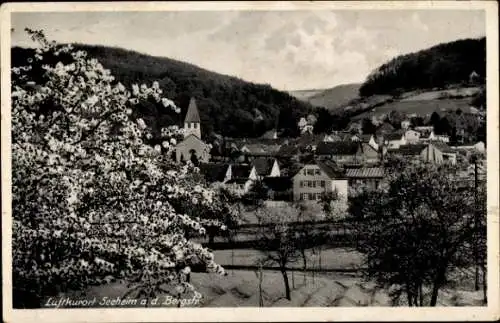 Ak Seeheim Jugenheim an der Bergstraße, Teilansicht, Baumblüte