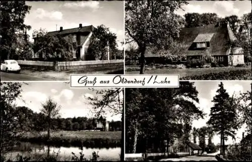 Ak Oldendorf an der Luhe, Teilansichten, Bauernhaus, Straßenpartie