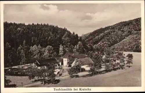 Ak Kreischa bei Dresden, Teufelsmühle, Wald