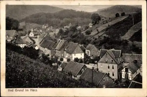 Ak Bad Grund im Harz, Gesamtansicht