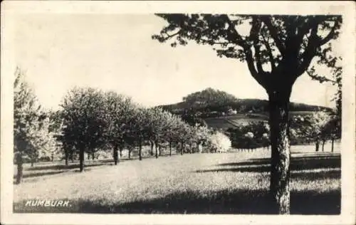 Ak Syřenov Region Reichenberg, Böhmisches Paradies, Burg Kumburk