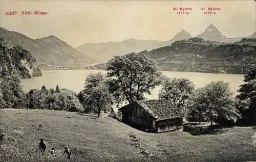 Ak Rütli Seelisberg Kanton Uri, Panorama