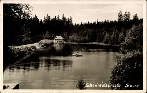 Foto Ak Schönheide Erzgebirge, Blick auf den Stausee