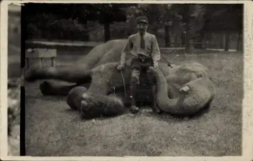 Foto AK Dresseur mit einem dressierten Elefant, Zirkus