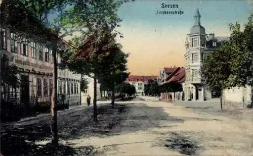 Ak Seesen am Harz, Jacobsenstraße