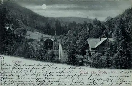 Mondschein Ak Hagen in Westfalen, Waldlust