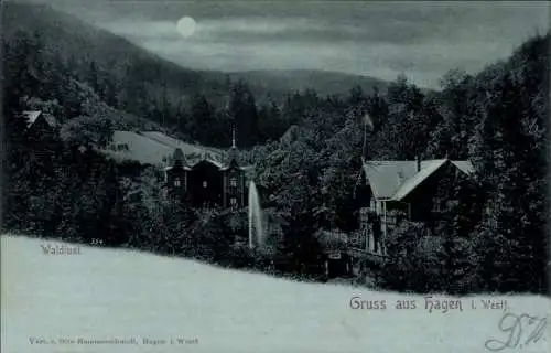 Mondschein Ak Hagen in Westfalen, Waldlust