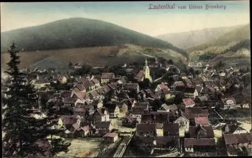 Ak Lautenthal Langelsheim im Oberharz, Gesamtansicht, Blick vom kleinen Bromberg