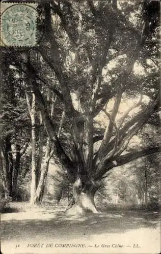 Ak Compiègne Oise, Foret, Le Gros Chene