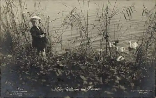 Ak Prinz Wilhelm von Preußen, Kinderportrait, Matrosenmütze, Enten