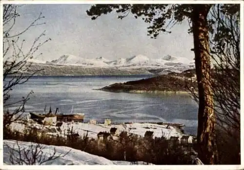 Ak Ankenesstrand Narvik Norwegen, Gesamtansicht