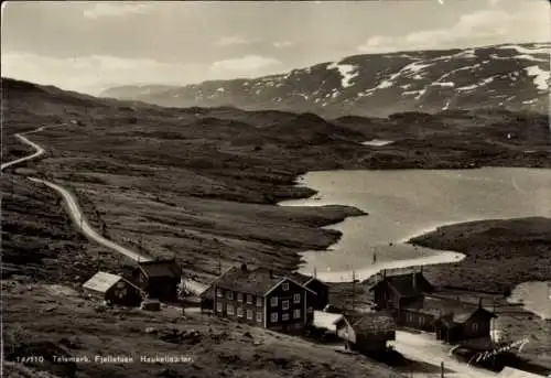 Ak Telemark Norwegen, Fjelistuen, Haukeliseter