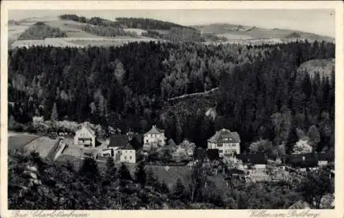 Ak Jedlina Zdrój Bad Charlottenbrunn Schlesien, Villen am Postberg