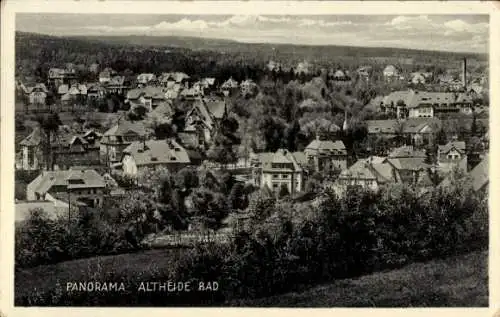 Ak Polanica Zdrój Bad Altheide Schlesien, Panorama der Ortschaft