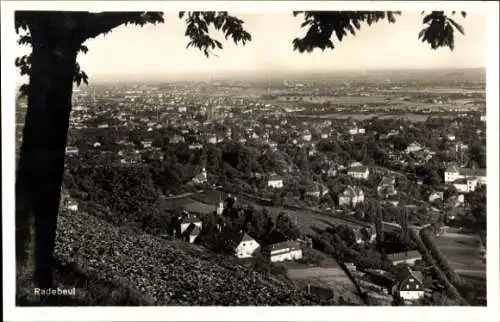 Ak Radebeul in Sachsen, Panorama