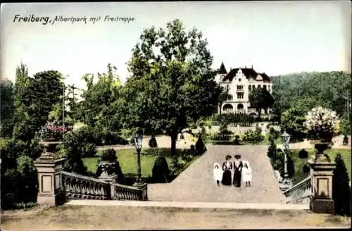 Ak Freiberg in Sachsen, Albertpark, Freitreppe