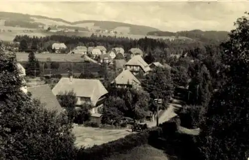 Ak Hinterzarten im Schwarzwald, Teilansicht