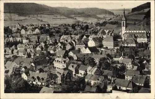 Ak Neustadt im Schwarzwald, Panorama vom Ort