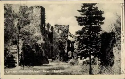 Ak Neustadt im Harz Harztor Thüringen, Ruine Hohnstein