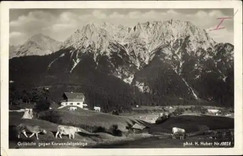 Ak Mittenwald in Oberbayern, Gröblalm, Karwendelgebirge, Kühe