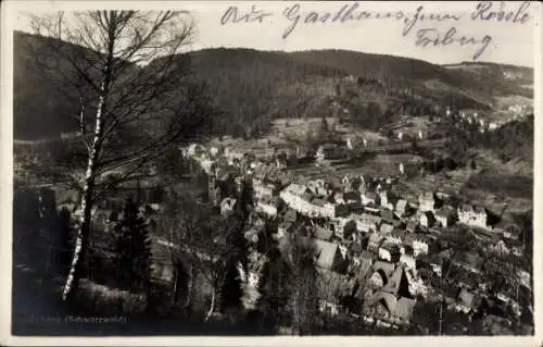 Ak Triberg im Schwarzwald, Blick auf Ortschaft und Umgebung