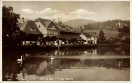 Ak Ilsenburg im Harz, Forellenteich, Schwäne