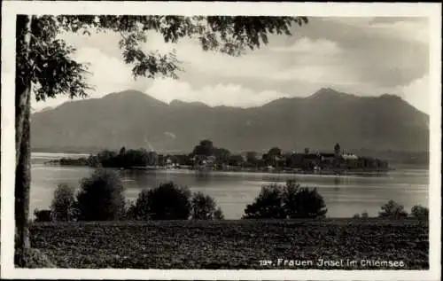 Ak Fraueninsel Chiemsee Oberbayern, Panorama