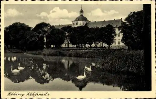 Ak Schleswig an der Schlei, Schloss, Schwäne