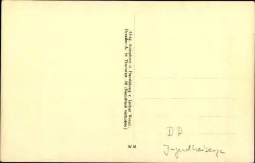 Ak Dresden Altstadt, Jugendherberge