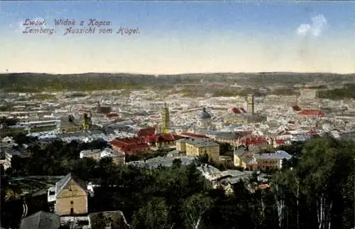 Ak Lwiw Lwów Lemberg Ukraine, Aussicht vom Hügel