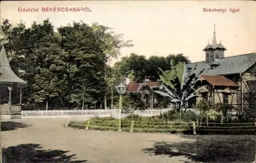 Ak Békéscsaba Tschabe Ungarn, Szechenyi liget