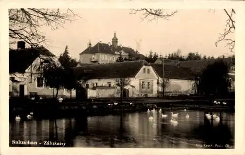 Ak Saluschan Zalužany Příbram Pibrans Mittelböhmen, Teilansicht