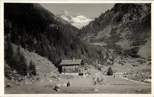 Ak Brandberg Tirol Österreich, Zillergrund, Alpengasthof Bärenbad