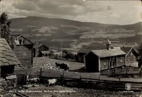 Ak Sor-Fron Gudbrandsdalen Norwegen, Teilansicht