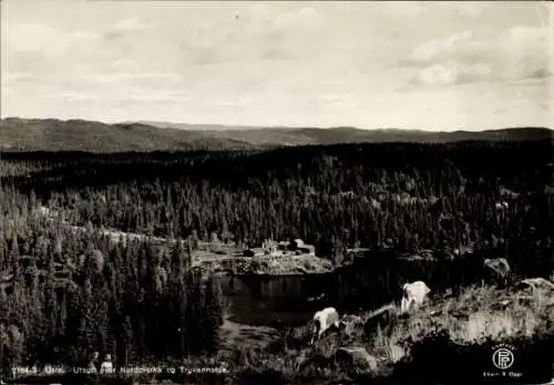 Ak Oslo Norwegen, Nordmarka og Tryvannstua