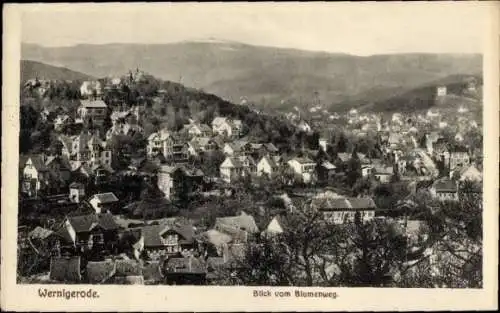 Ak Wernigerode im Harz, Blick vom Blumenweg