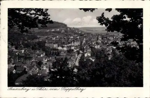 Ak Sonneberg in Thüringen, Panorama, Blick vom Kappelberg