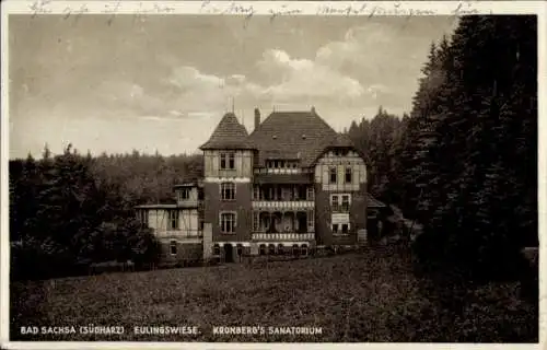 Ak Bad Sachsa im Harz, Eulingswiese, Kronbergs Sanatorium