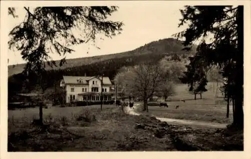 Ak Brotterode in Thüringen, Kleiner Inselsberg, Hotel Grenzwiese