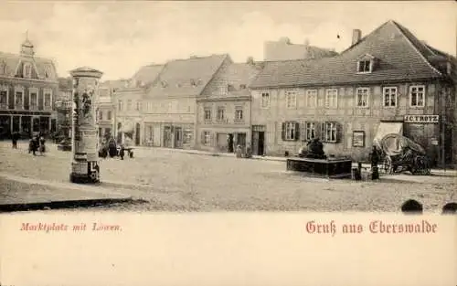 Ak Eberswalde, Marktplatz, Löwenbrunnen, Geschäft J. C. Trotz, Litfaßsäule