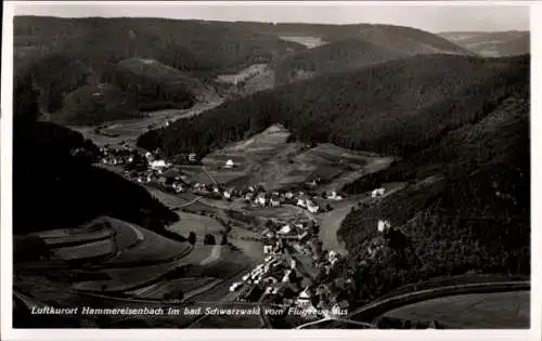 Ak Hammereisenbach Bregenbach Vöhrenbach in Baden, Fliegeraufnahme