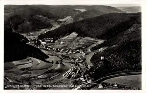 Ak Hammereisenbach Bregenbach Vöhrenbach in Baden, Fliegeraufnahme