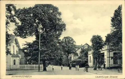 Ak Schwarzenbek in Lauenburg, Lauenburger Straße