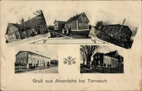 Ak Ahrenslohe Tornesch in Schleswig Holstein, Wohnhäuser, Gartenpartien